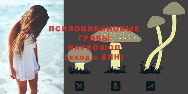 apvp Абинск