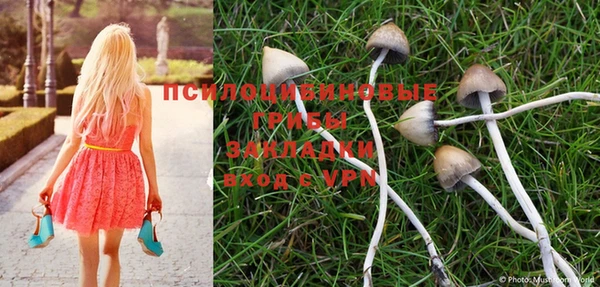 apvp Абинск